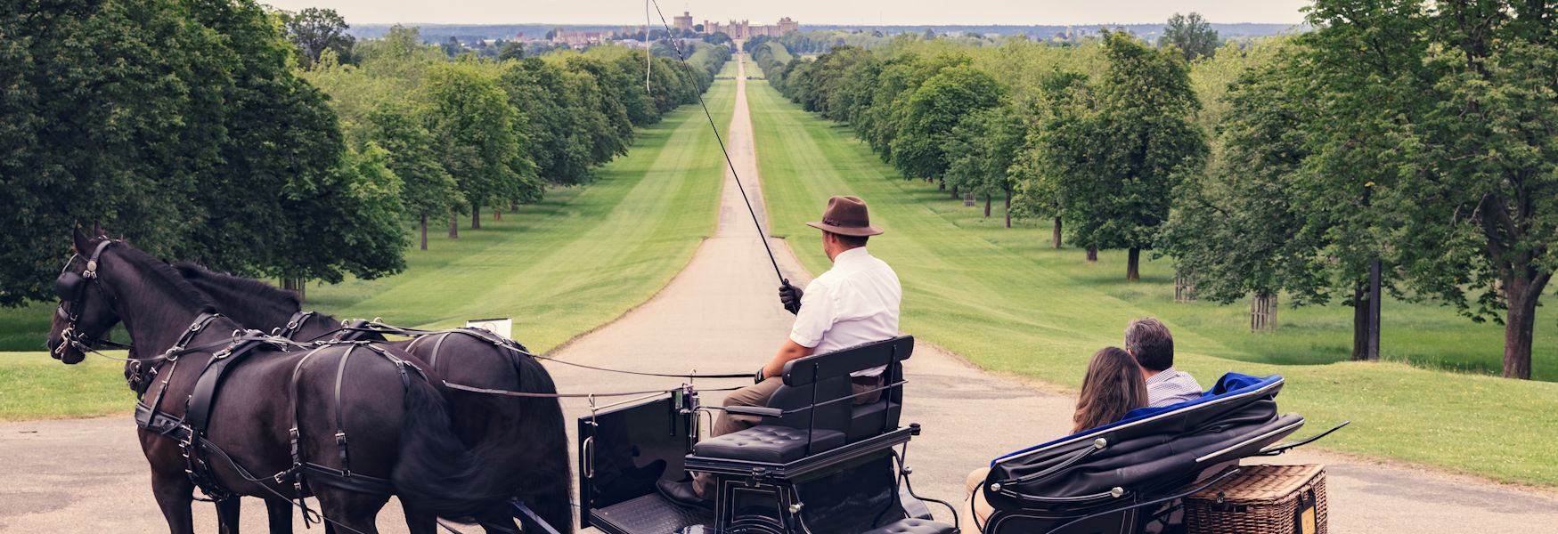 Windsor Carriages on the Long Walk looking back towards Windsor Castle